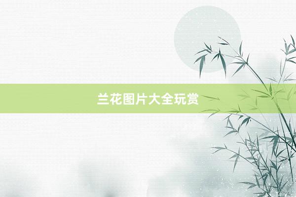 兰花图片大全玩赏